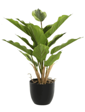 Planta artificial HOJAS 36cm de alto