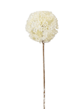 Flor artificial ALLIUM blanco 68cm
