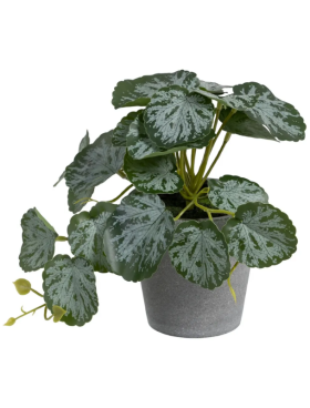 Planta SAXIFRAGA artificial 26cm